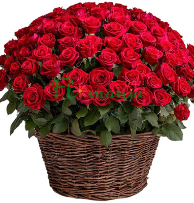 Корзина 101 красная роза Rosier